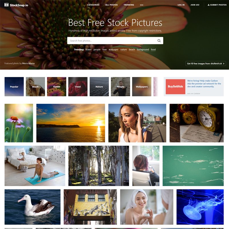StockSnap